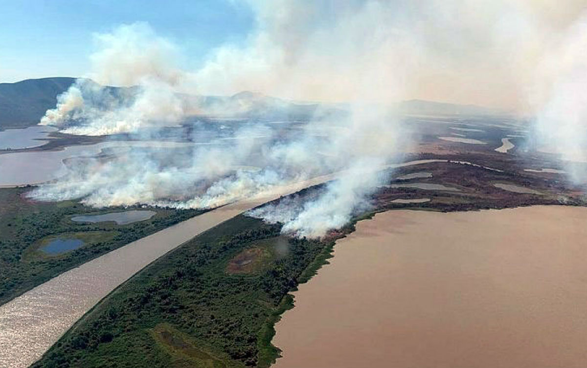 Queimadas no Pantanal: Impactos Profundos na Biodiversidade e no Clima Global