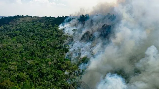 Amazônia em Perigo: Desafios e Esperanças para o Pulmão do Mundo